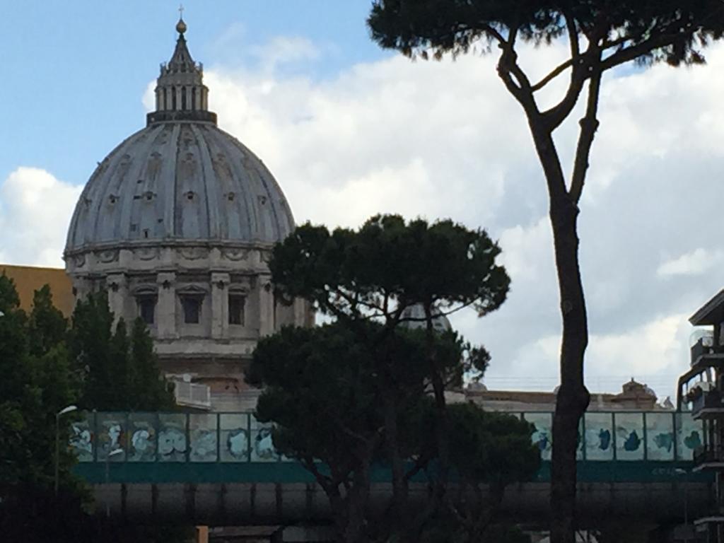 Saint Peter Welcoming Appartement Rome